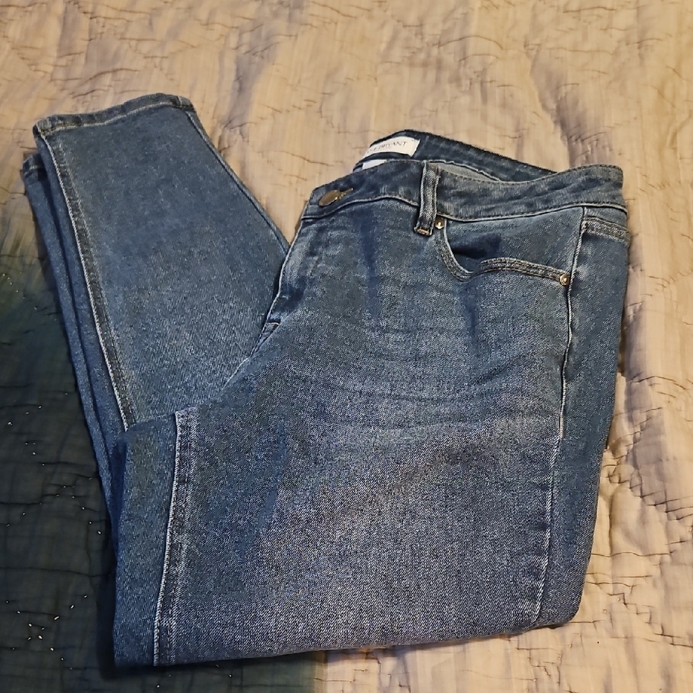 Lane Bryant Blue Skinny Jeans